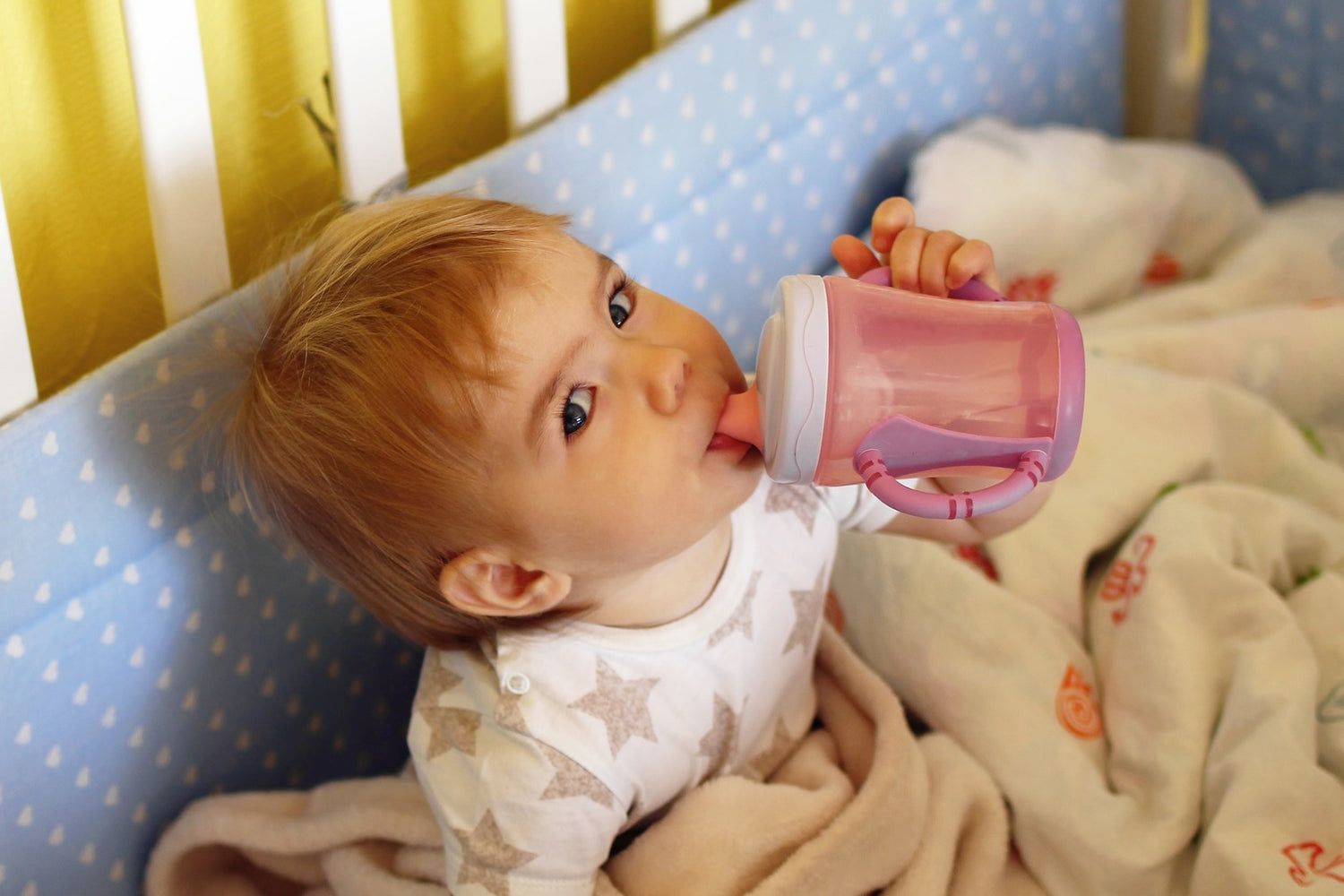 Best Baby Bottles for Newborns 2025